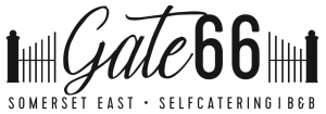Logo Logo